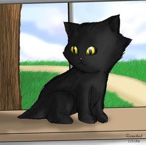 black_kitten_by_zerachielamora.jpg